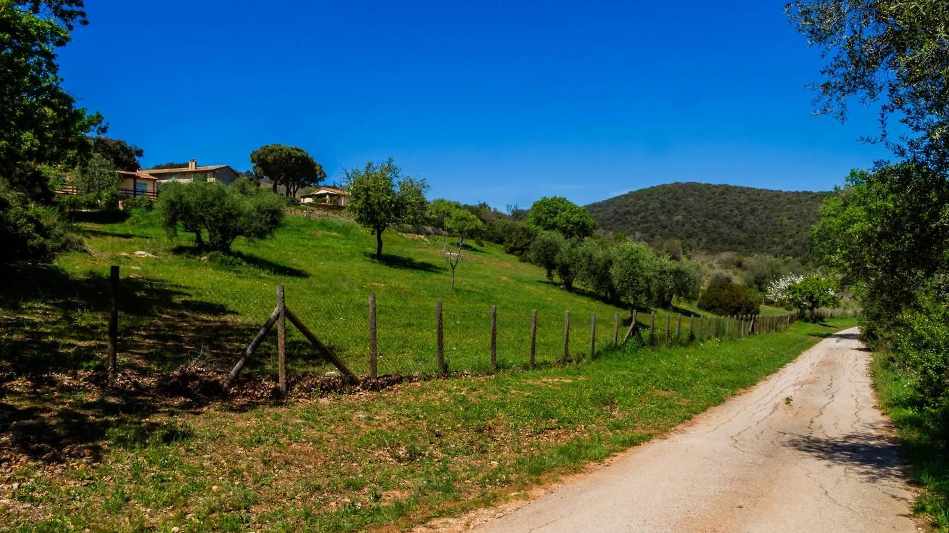 Tenuta Valle Buia Orbetello Lantgård
