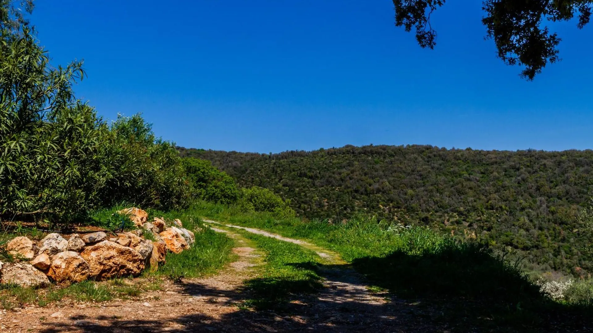 Alloggio per agriturismo Tenuta Valle Buia Orbetello