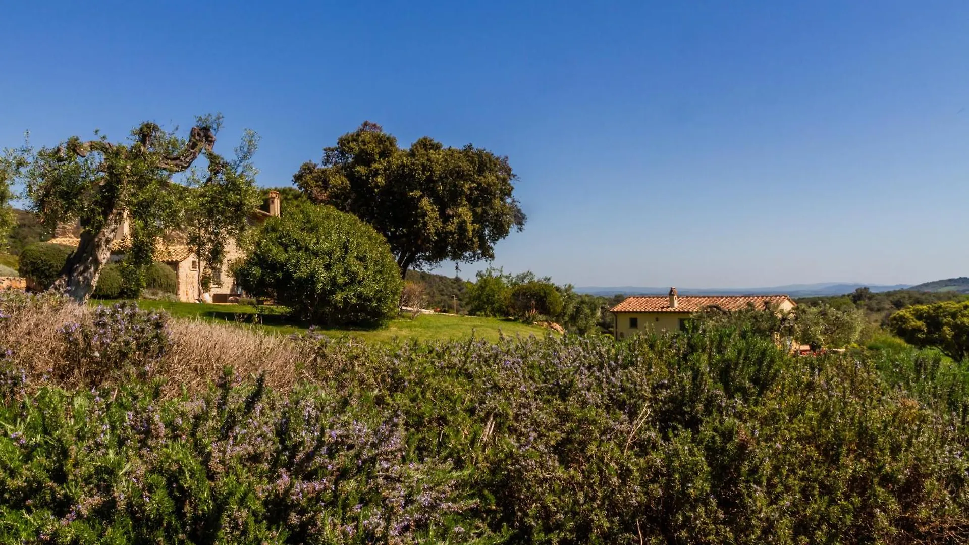 Tenuta Valle Buia Orbetello 0*,