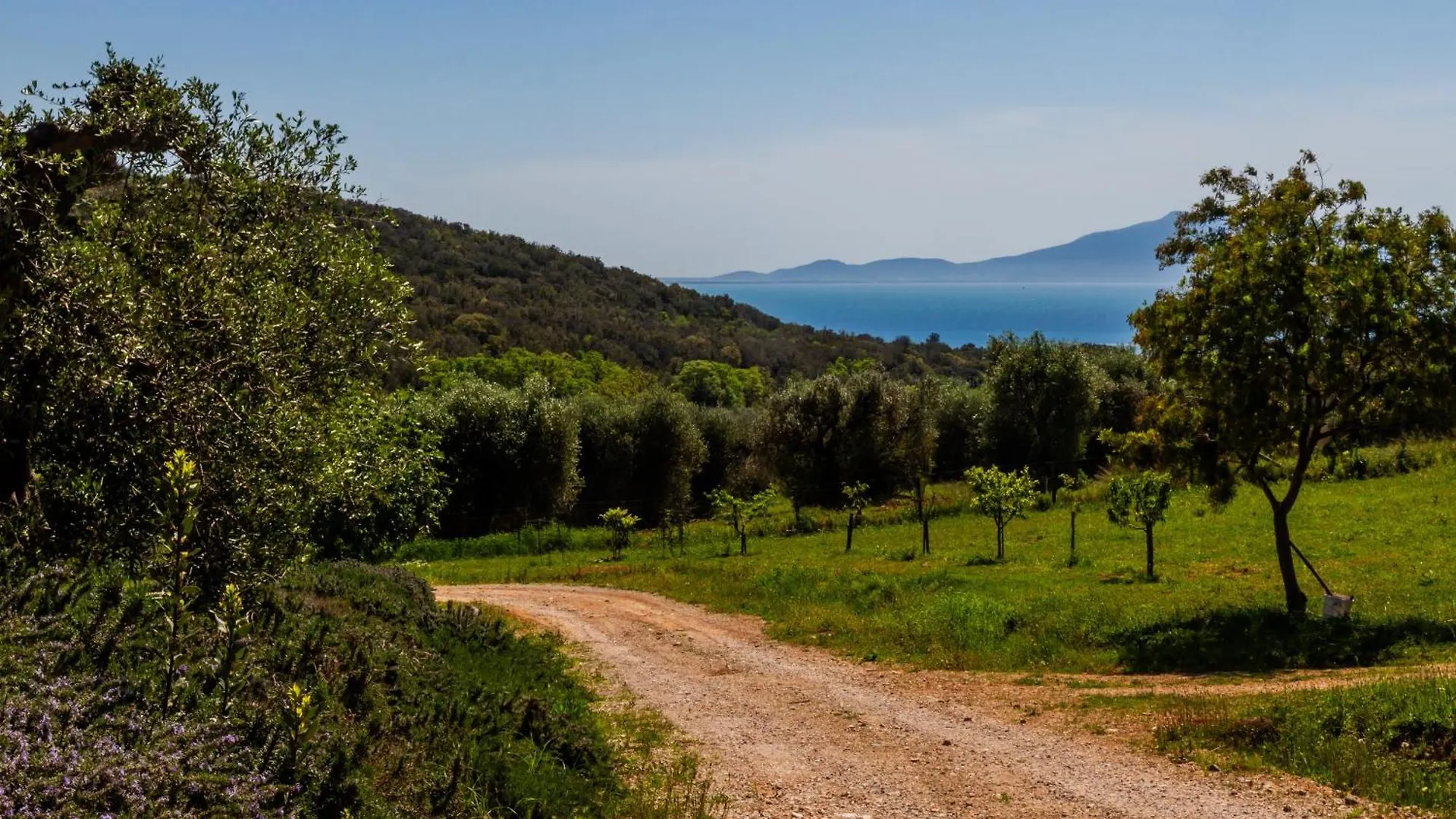 Alloggio per agriturismo Tenuta Valle Buia Orbetello Italia